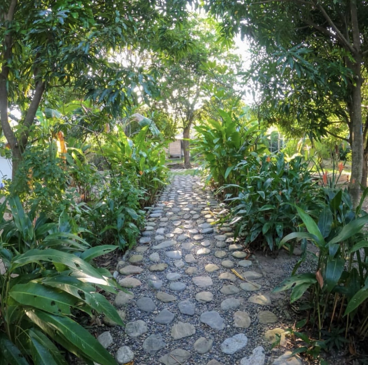 Casa Silvestre - Sendero empedrado