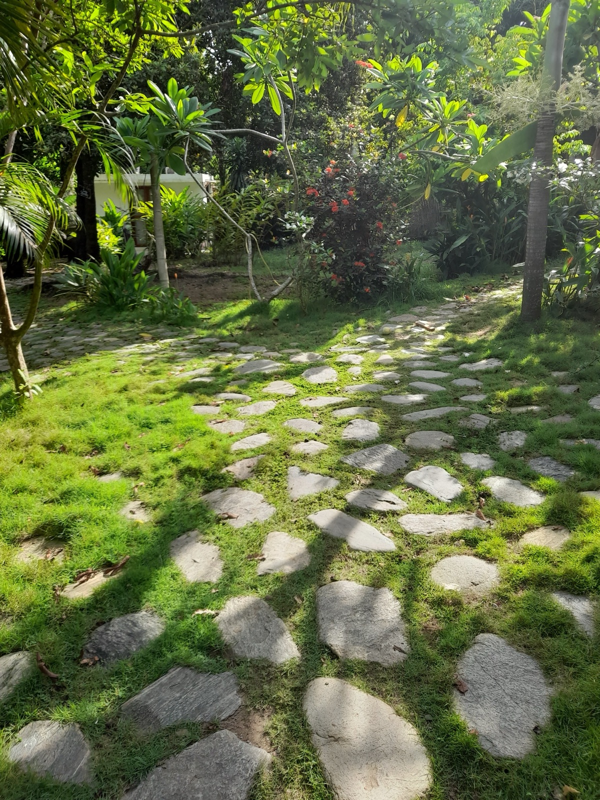 Casa Silvestre - Jardín con sendero de piedra
