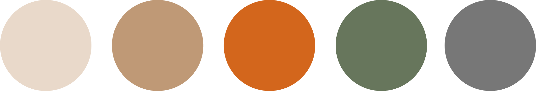 Paleta de colores del proyecto Tabata